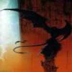 thumb_1529 (Medium).jpg